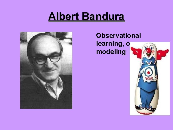 Albert Bandura Observational learning, or modeling 