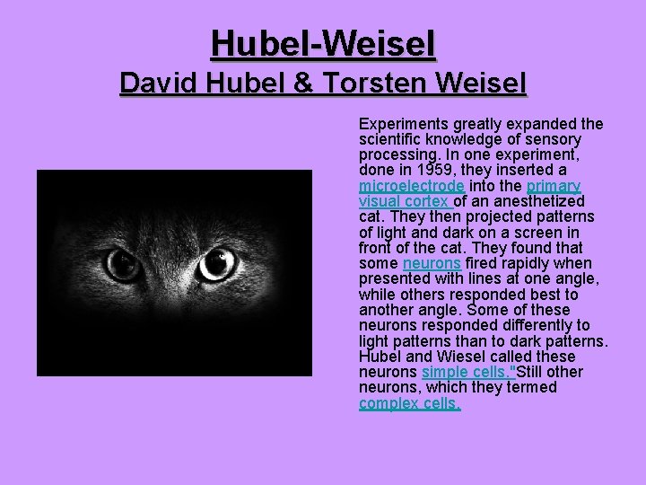 Hubel-Weisel David Hubel & Torsten Weisel Experiments greatly expanded the scientific knowledge of sensory