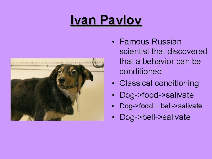 Ivan Pavlov • Famous Russian scientist that discovered that a behavior can be conditioned.