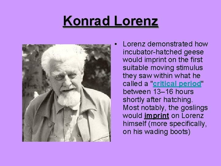 Konrad Lorenz • Lorenz demonstrated how incubator-hatched geese would imprint on the first suitable