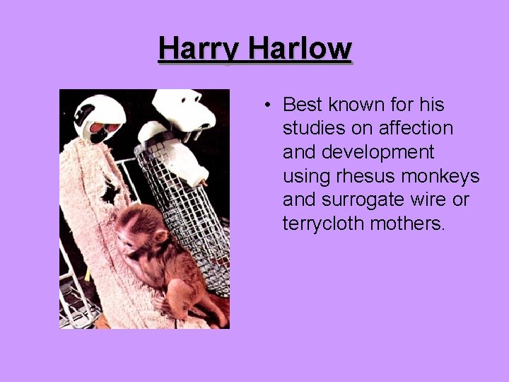 Harry Harlow • Best known for his studies on affection and development using rhesus