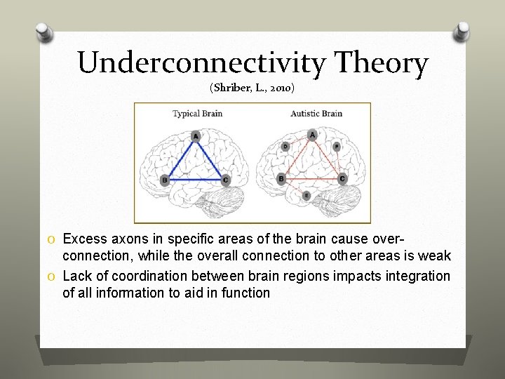 Underconnectivity Theory (Shriber, L. , 2010) O Excess axons in specific areas of the