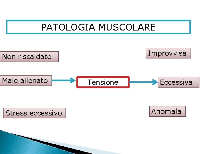 PATOLOGIA MUSCOLARE Improvvisa Non riscaldato Male allenato Stress eccessivo Tensione Eccessiva Anomala 