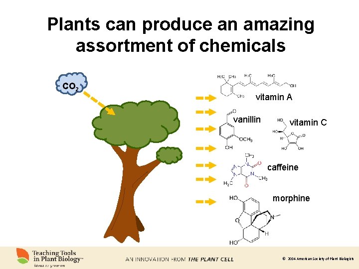Plants can produce an amazing assortment of chemicals CO 2 vitamin A vanillin vitamin