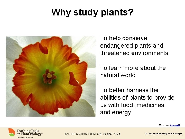 Why study plants? To help conserve endangered plants and threatened environments To learn more
