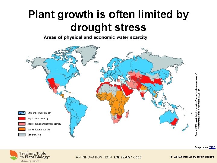 Plant growth is often limited by drought stress Image source: IWMI © 2014 American