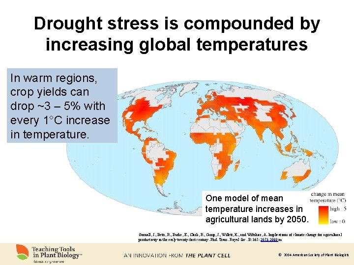 Drought stress is compounded by increasing global temperatures In warm regions, crop yields can