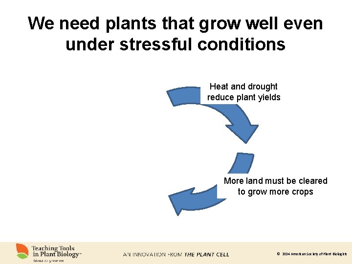 We need plants that grow well even under stressful conditions Heat and drought reduce