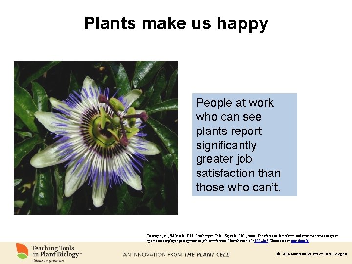 Plants make us happy People at work who can see plants report significantly greater