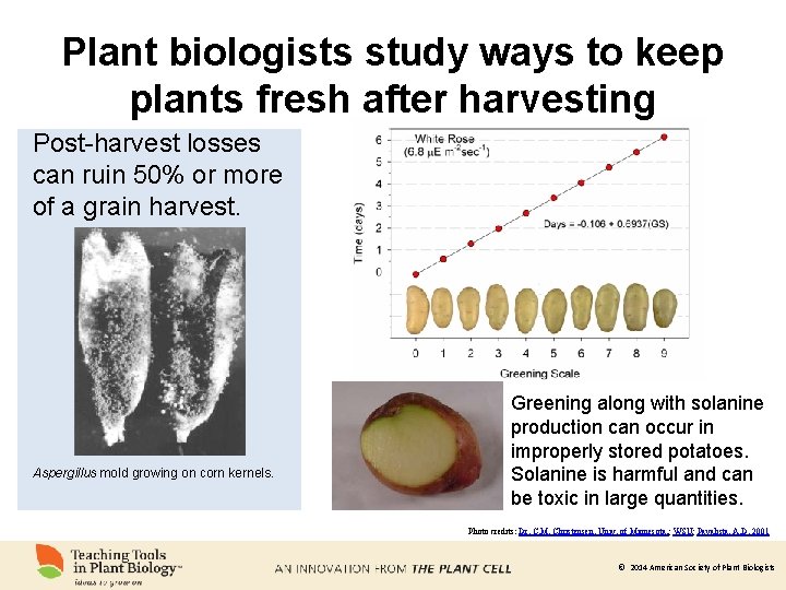 Plant biologists study ways to keep plants fresh after harvesting Post-harvest losses can ruin