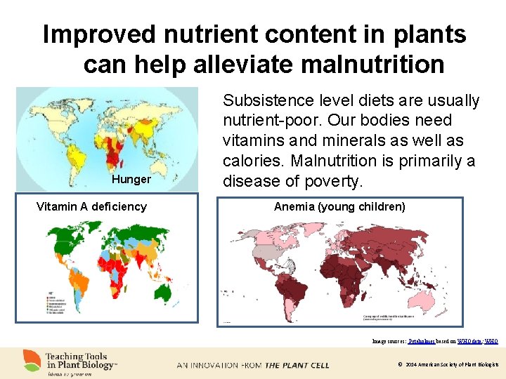 Improved nutrient content in plants can help alleviate malnutrition Hunger Vitamin A deficiency Subsistence