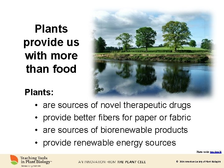 Plants provide us with more than food Plants: • are sources of novel therapeutic