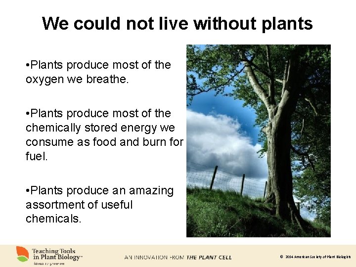 We could not live without plants • Plants produce most of the oxygen we