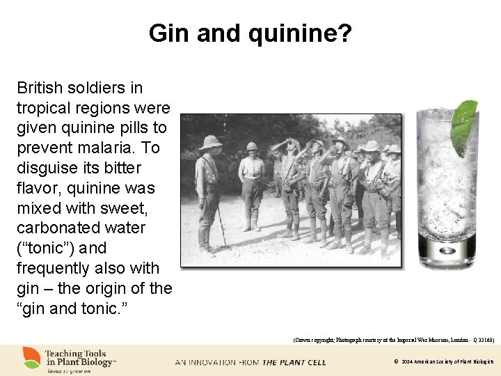 Gin and quinine? British soldiers in tropical regions were given quinine pills to prevent