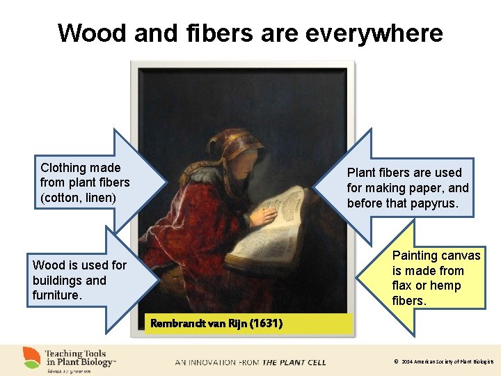 Wood and fibers are everywhere Clothing made from plant fibers (cotton, linen) Plant fibers