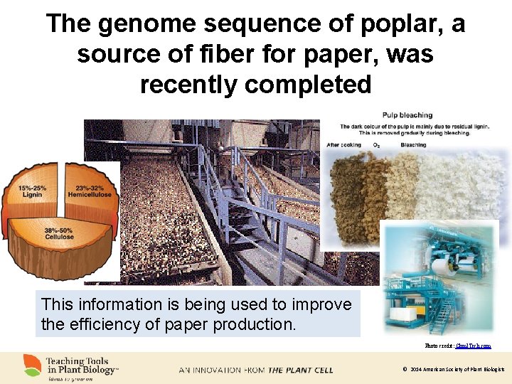 The genome sequence of poplar, a source of fiber for paper, was recently completed