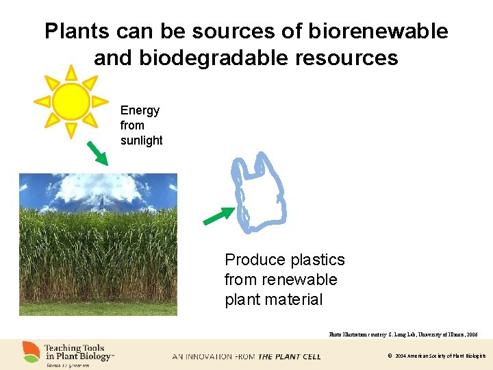 Plants can be sources of biorenewable and biodegradable resources Energy from sunlight Produce plastics