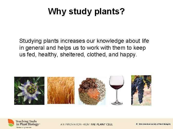 Why study plants? Studying plants increases our knowledge about life in general and helps