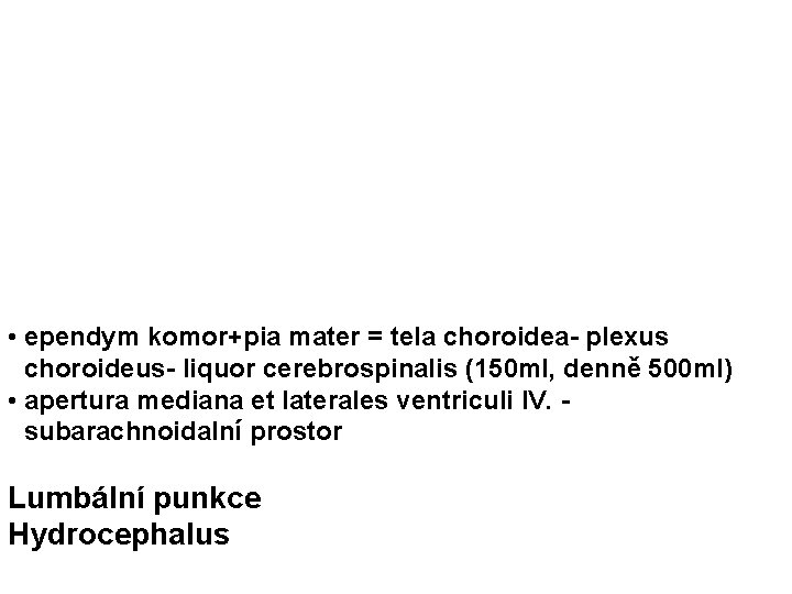  • ependym komor+pia mater = tela choroidea- plexus choroideus- liquor cerebrospinalis (150 ml,