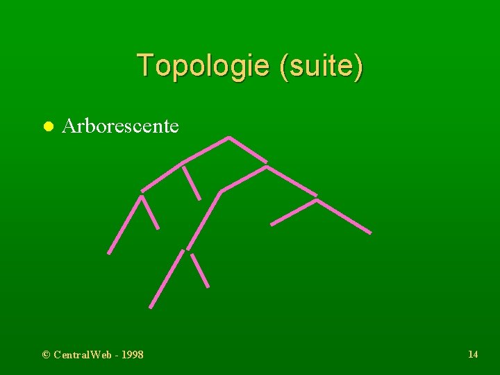 Topologie (suite) l Arborescente © Central. Web - 1998 14 