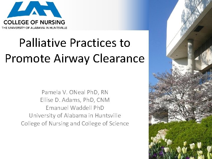 Palliative Practices to Promote Airway Clearance Pamela V. ONeal Ph. D, RN Ellise D.