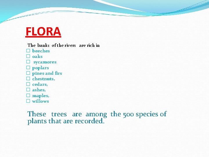 FLORA The banks of the rivers are rich in � beeches � oaks � FLORA The banks of the rivers are rich in � beeches � oaks �