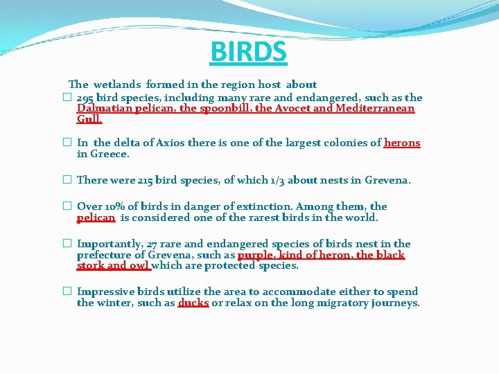 BIRDS The wetlands formed in the region host about � 295 bird species, including BIRDS The wetlands formed in the region host about � 295 bird species, including