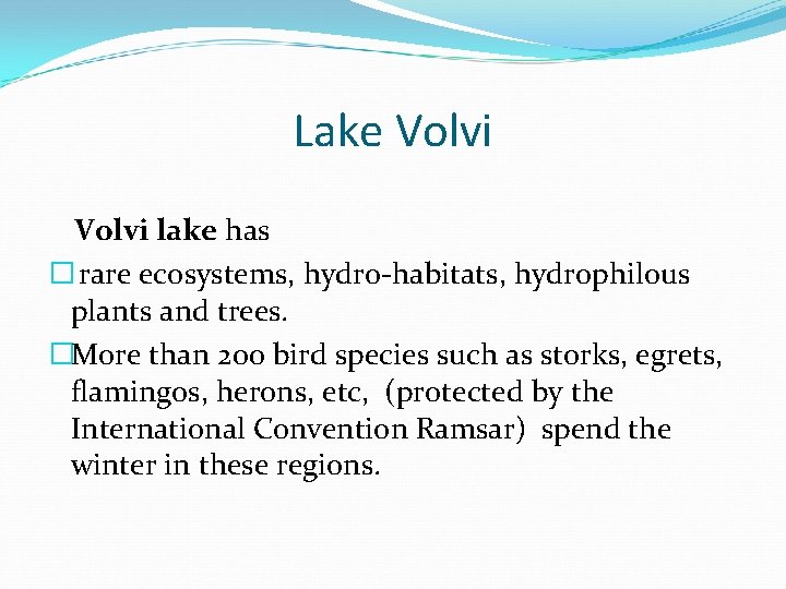 Lake Volvi lake has � rare ecosystems, hydro-habitats, hydrophilous plants and trees. �More than Lake Volvi lake has � rare ecosystems, hydro-habitats, hydrophilous plants and trees. �More than
