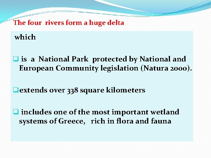 The four rivers form a huge delta which q is a National Park protected The four rivers form a huge delta which q is a National Park protected
