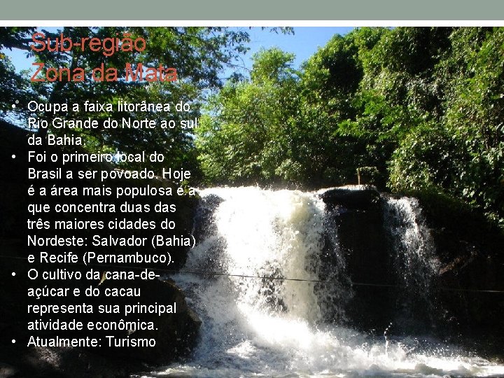 Sub-região Zona da Mata • • Ocupa a faixa litorânea do Rio Grande do