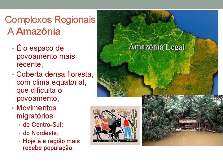 Complexos Regionais A Amazônia • É o espaço de povoamento mais recente; • Coberta