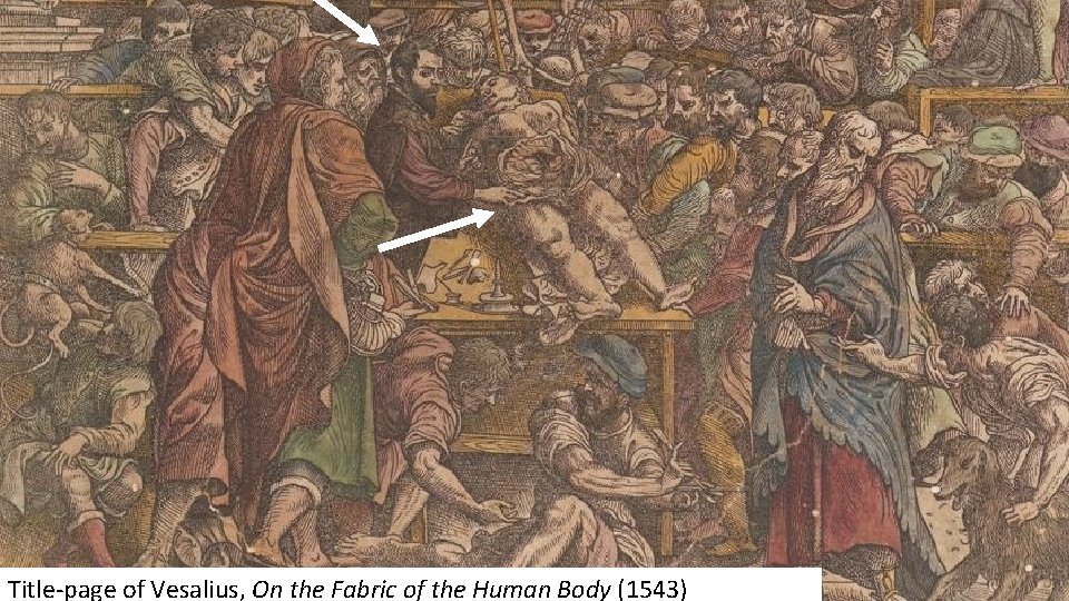 Title-page of Vesalius, On the Fabric of the Human Body (1543) 