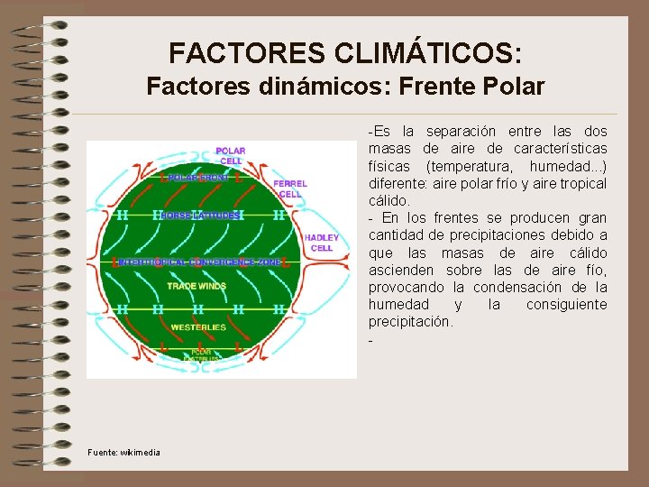 FACTORES CLIMÁTICOS: Factores dinámicos: Frente Polar -Es la separación entre las dos masas de