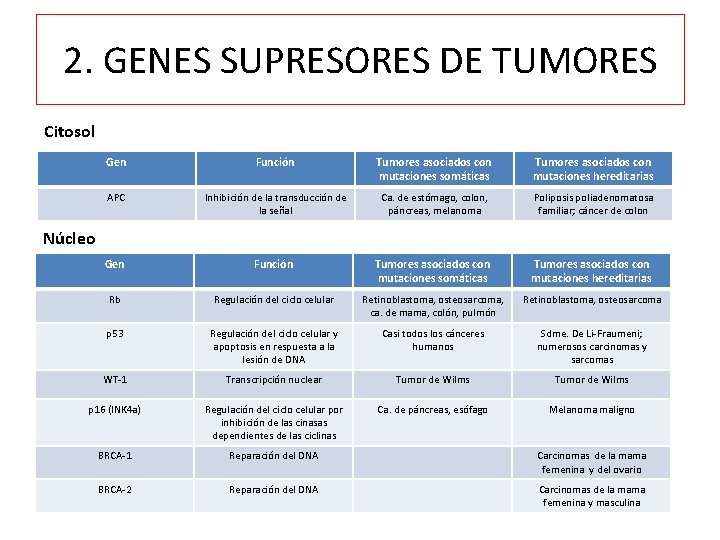 2. GENES SUPRESORES DE TUMORES Citosol Gen Función Tumores asociados con mutaciones somáticas Tumores