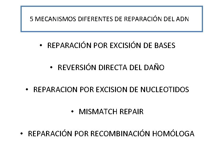 5 MECANISMOS DIFERENTES DE REPARACIÓN DEL ADN • REPARACIÓN POR EXCISIÓN DE BASES •