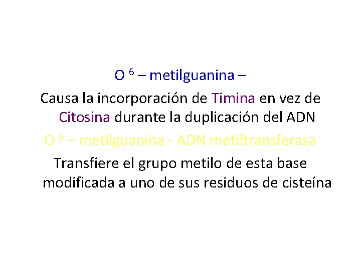 O 6 – metilguanina – Causa la incorporación de Timina en vez de Citosina