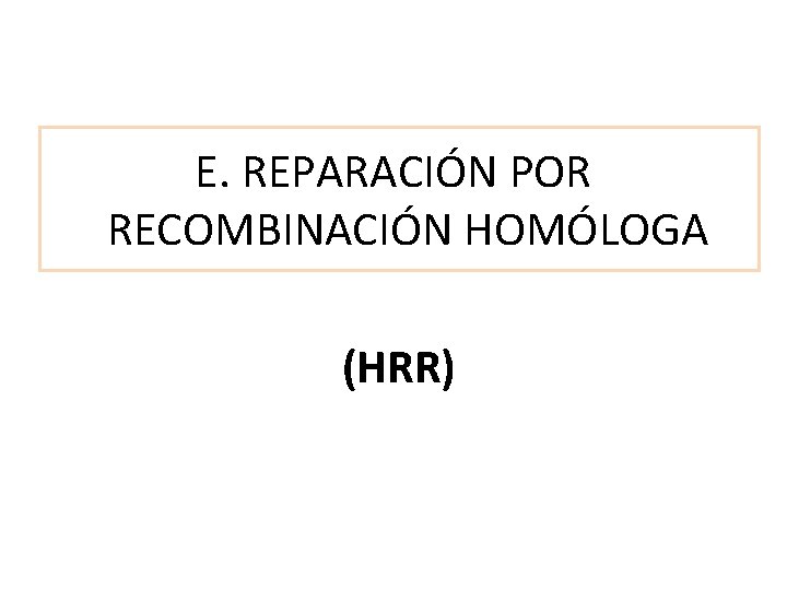 E. REPARACIÓN POR RECOMBINACIÓN HOMÓLOGA (HRR) 