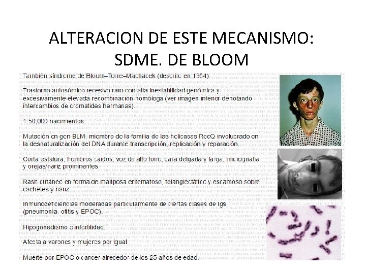 ALTERACION DE ESTE MECANISMO: SDME. DE BLOOM 