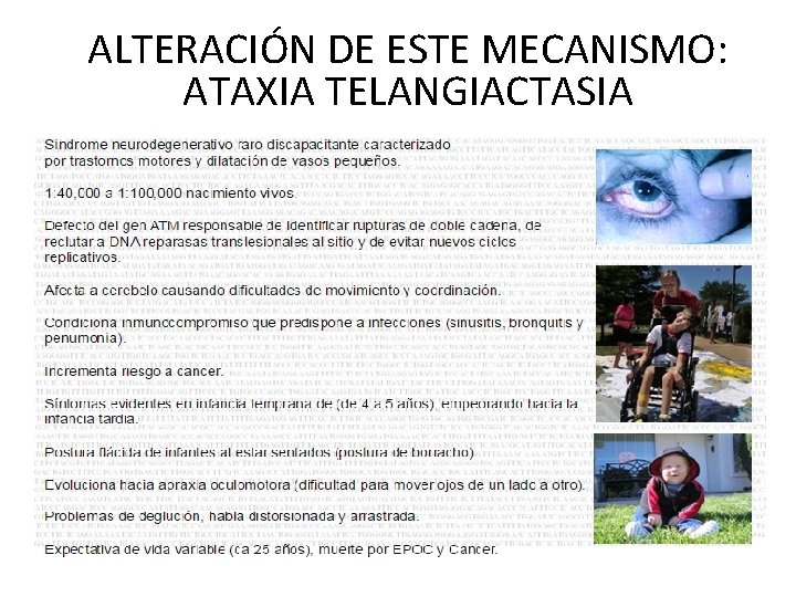 ALTERACIÓN DE ESTE MECANISMO: ATAXIA TELANGIACTASIA 