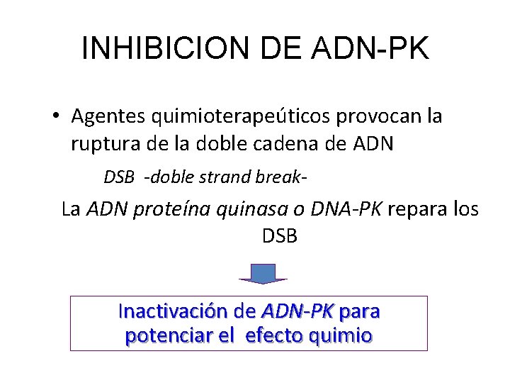 INHIBICION DE ADN-PK • Agentes quimioterapeúticos provocan la ruptura de la doble cadena de