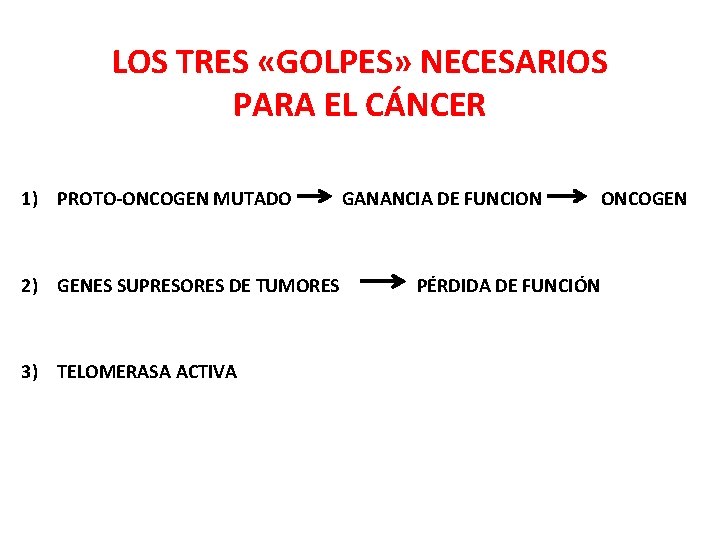 LOS TRES «GOLPES» NECESARIOS PARA EL CÁNCER 1) PROTO-ONCOGEN MUTADO 2) GENES SUPRESORES DE