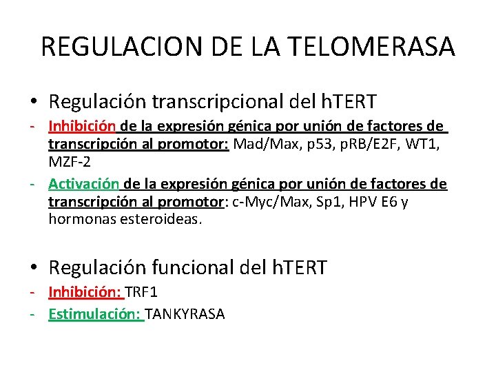 REGULACION DE LA TELOMERASA • Regulación transcripcional del h. TERT - Inhibición de la