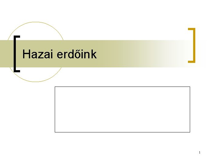 Hazai erdőink 1 