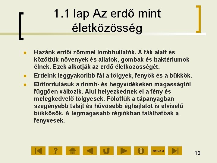 1. 1 lap Az erdő mint életközösség Hazánk erdői zömmel lombhullatók. A fák alatt