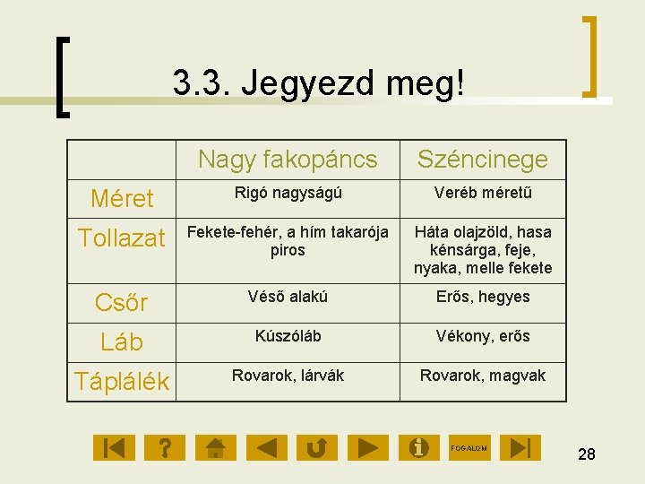 3. 3. Jegyezd meg! Nagy fakopáncs Széncinege Méret Rigó nagyságú Veréb méretű Tollazat Fekete-fehér,