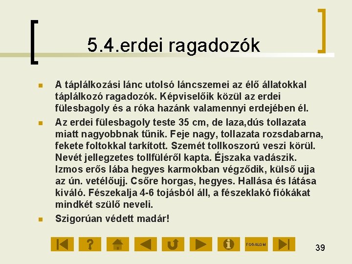 5. 4. erdei ragadozók A táplálkozási lánc utolsó láncszemei az élő állatokkal táplálkozó ragadozók.