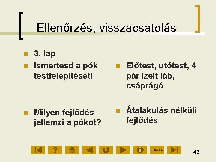 Ellenőrzés, visszacsatolás 3. lap Ismertesd a pók testfelépítését! Milyen fejlődés jellemzi a pókot? Előtest,