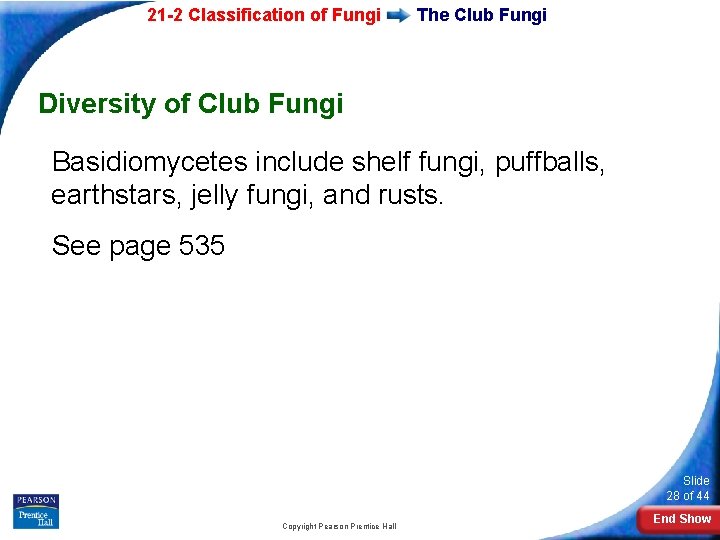 21 -2 Classification of Fungi The Club Fungi Diversity of Club Fungi Basidiomycetes include 21 -2 Classification of Fungi The Club Fungi Diversity of Club Fungi Basidiomycetes include