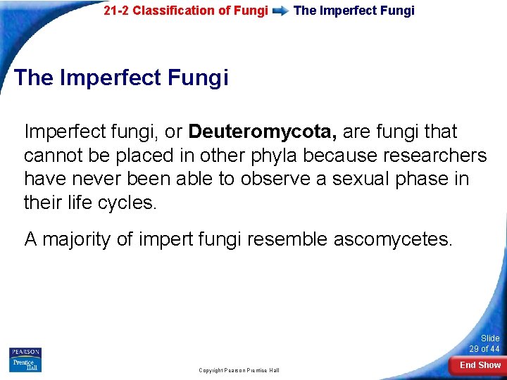 21 -2 Classification of Fungi The Imperfect Fungi Imperfect fungi, or Deuteromycota, are fungi 21 -2 Classification of Fungi The Imperfect Fungi Imperfect fungi, or Deuteromycota, are fungi