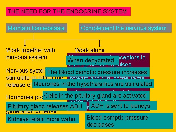THE NEED FOR THE ENDOCRINE SYSTEM Maintain homeostasis Work together with nervous system Complement